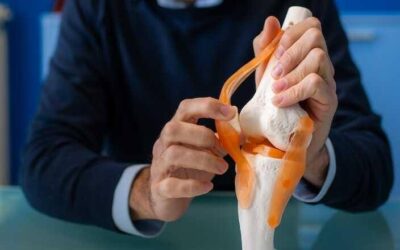 Menischi e Lesioni Meniscali: Una Guida Completa